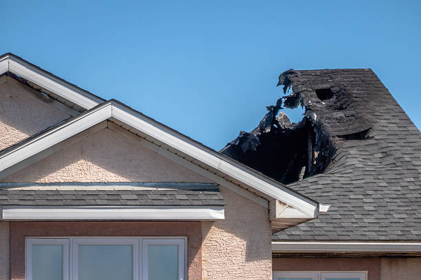 Top rated local Board Up Services specialists in Clear Lake, MN